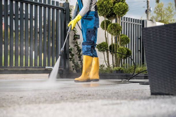 Best Deck Cleaning Services  in Rainbow, CA